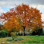 Il Colle Dei Frati *