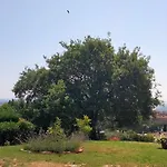 Il Colle Dei Frati דירה סינאלונגה