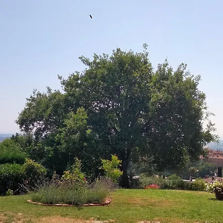 Lejlighed Il Colle Dei Frati