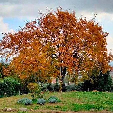 Il Colle Dei Frati *