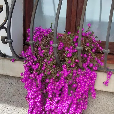 Il Colle Dei Frati Apartamento Sinalunga