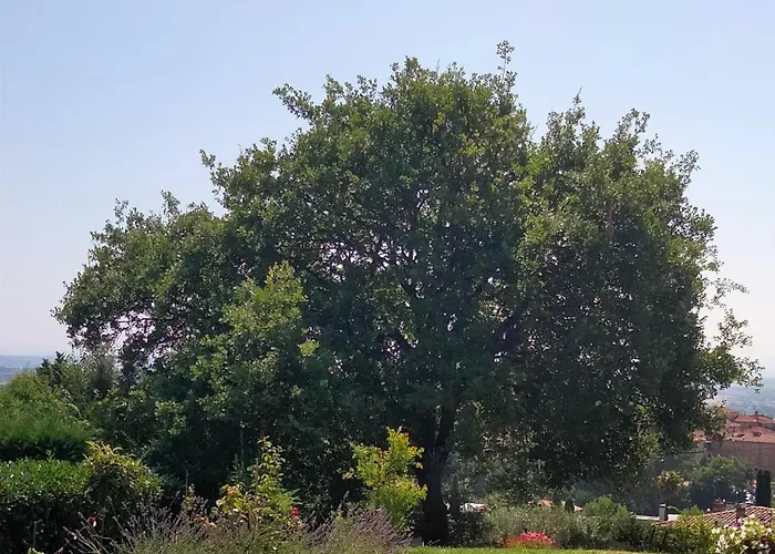 Apartamento Il Colle Dei Frati