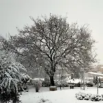Apartamento Il Colle Dei Frati Sinalunga
